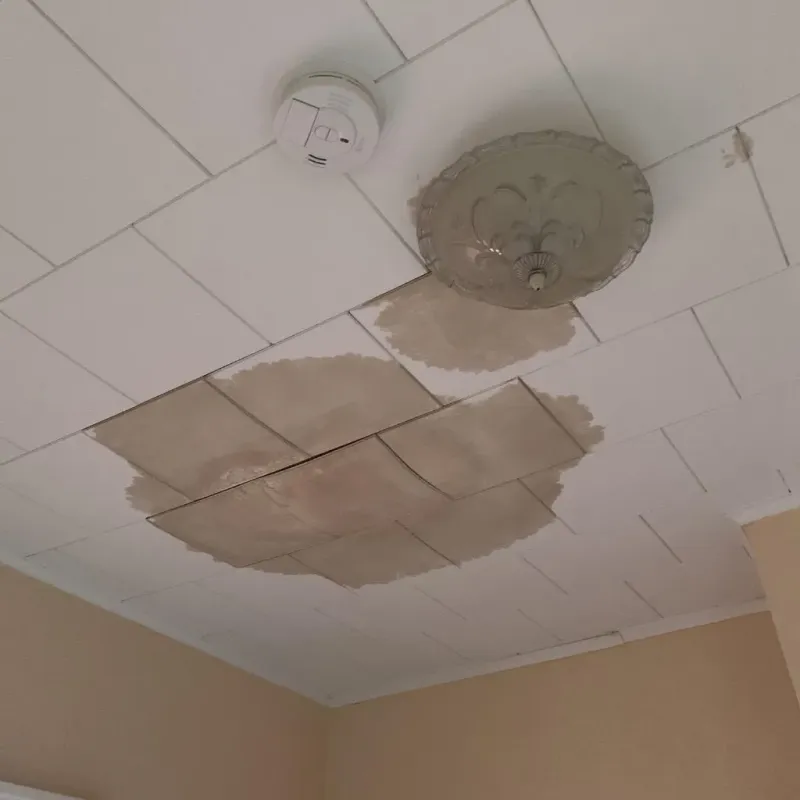 Ceiling Water Damage Repair in Salinas, PR