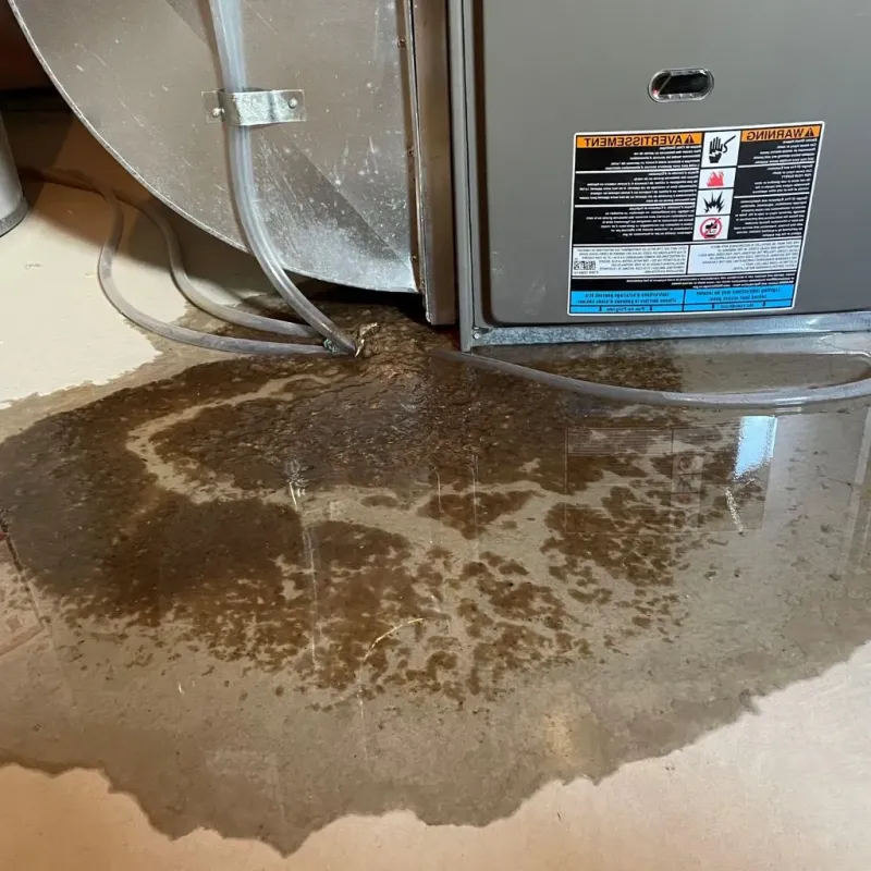 Pipe Burst and Leak Restoration in Salinas, PR