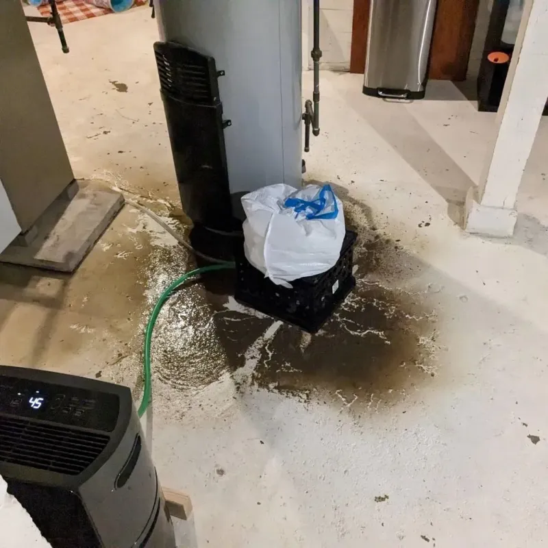 Sewage Backup Cleanup Service in Salinas, PR